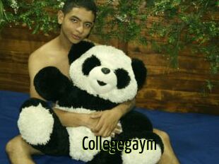 Collegegaym