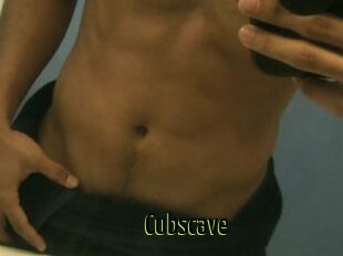 Cubscave