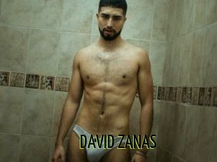 DAVID_ZANAS