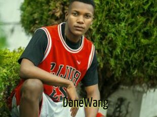 DaneWang