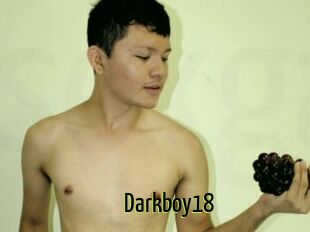 Darkboy18