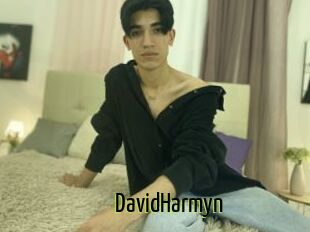 DavidHarmyn