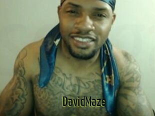 David_Maze