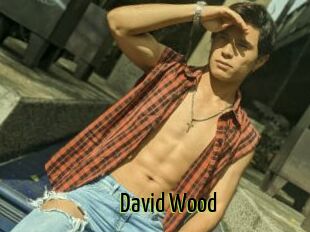 David_Wood