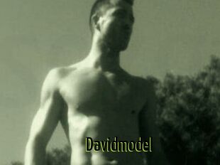 Davidmodel