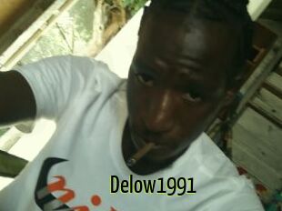 Delow1991