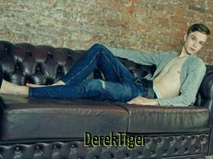 DerekTiger