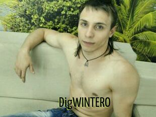 DigWINTERO