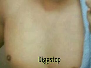 Diggstop