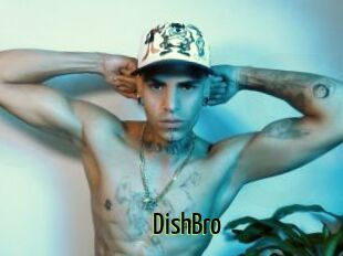 DishBro