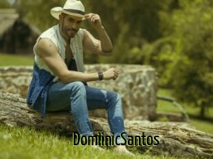 DomiinicSantos