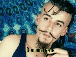 DominicTerrier