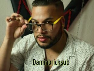 Daminbricksub