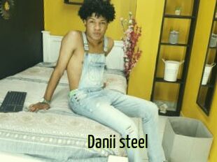 Danii_steel