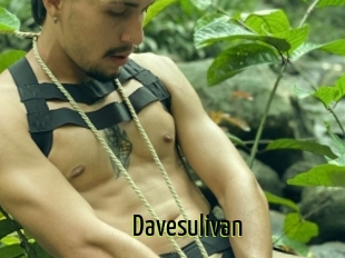Davesulivan