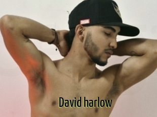 David_harlow