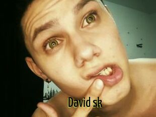 David_sk