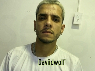 Daviidwolf