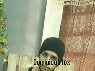 Dominique_fox