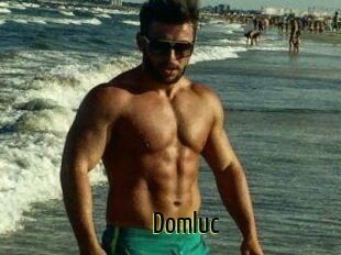 Domluc