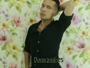Domramires
