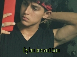 Dylan_brown15cm