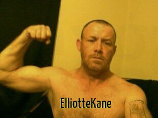 Elliotte_Kane