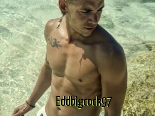 Eddbigcock97