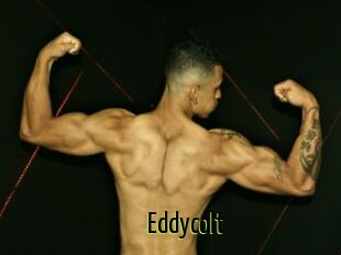 Eddycolt