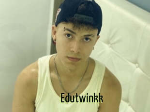 Edutwinkk