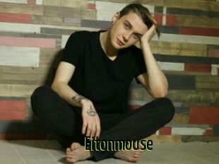 Eitonmouse