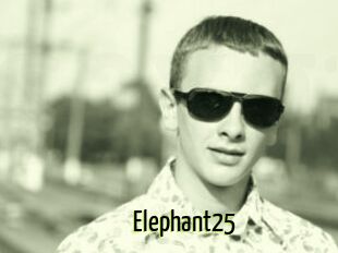 Elephant25