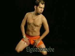 Elguazonbebe