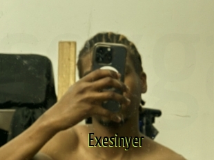 Exesinyer