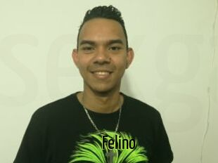 Felino