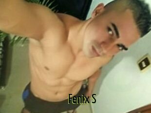 Fenix_S