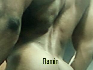 Flamin