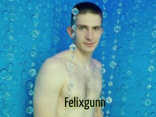 Felixgunn