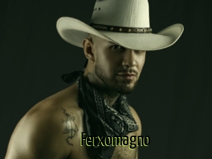 Ferxomagno