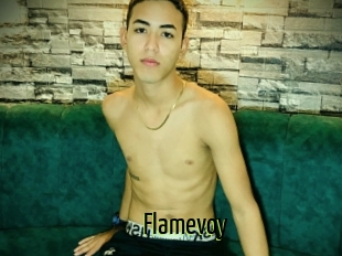 Flamevoy
