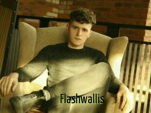 Flashwallis