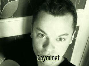 Gayminet