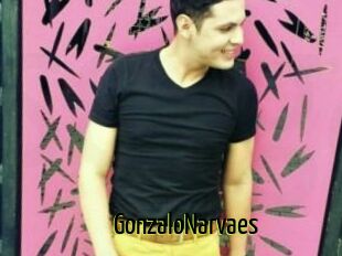 GonzaloNarvaes