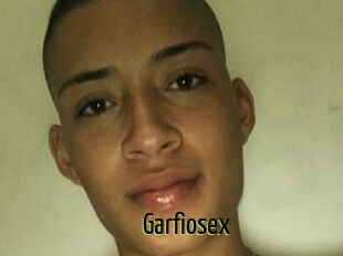 Garfiosex