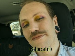 Gatorcatnb