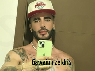 Gawainn_zeldris