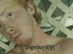 Gingerboy9695