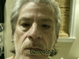 Gizmo46n29