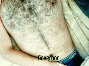 Governor