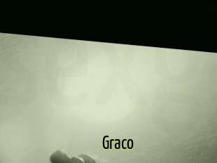 Graco